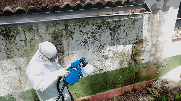 Trusted Mold Inspection service in Bryn Athyn, PA - Cheap Mold Removal